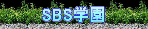 SBSw